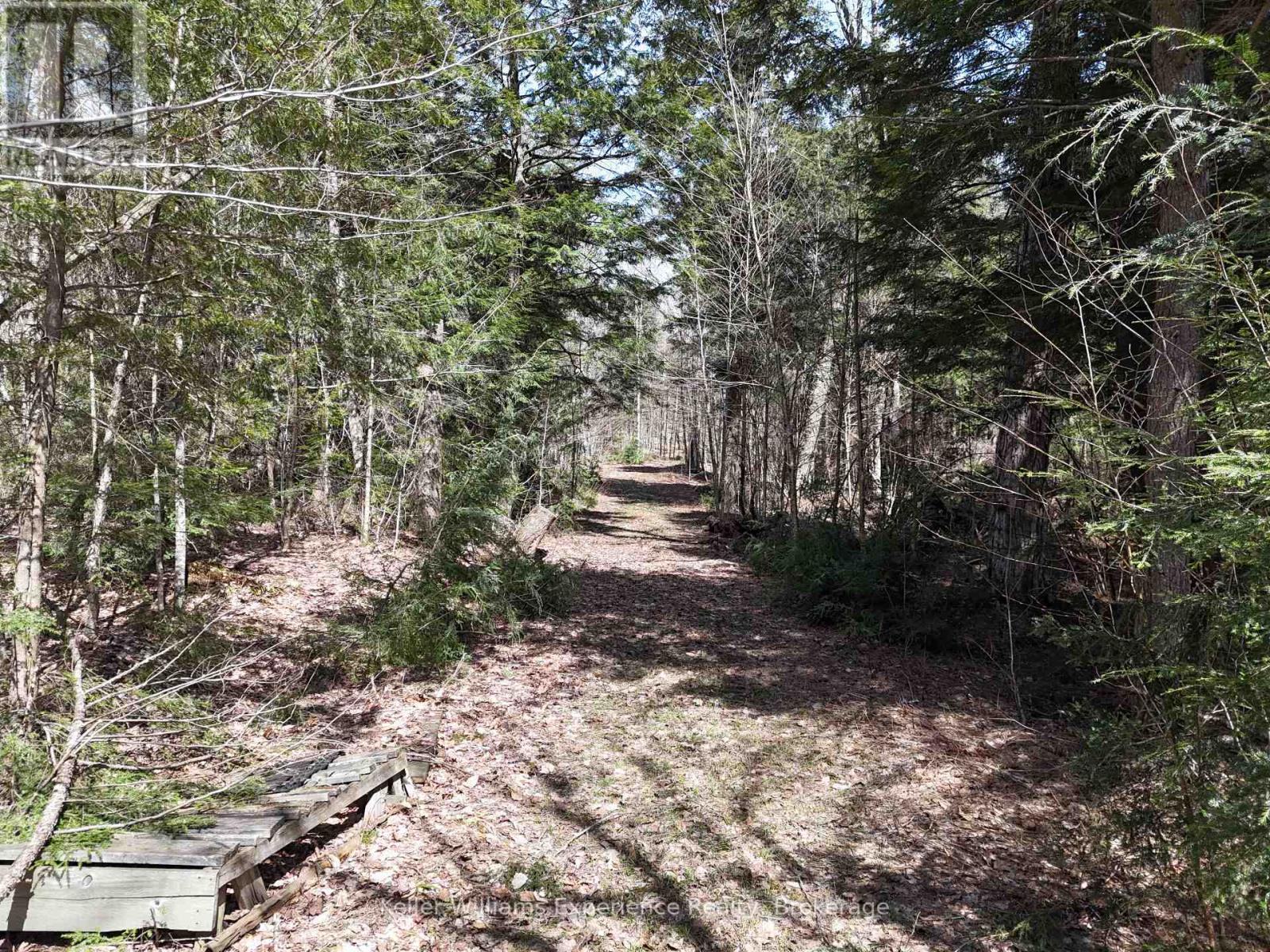 0 Peter Road, Bracebridge (Macaulay), Ontario  P1L 1X3 - Photo 5 - X12115494